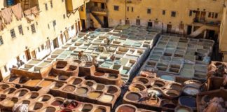 Action against 95 leather tanneries