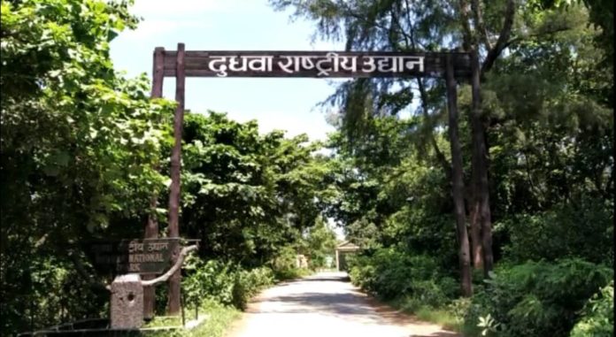 Lakhimpur Kheri Tiger Reserve