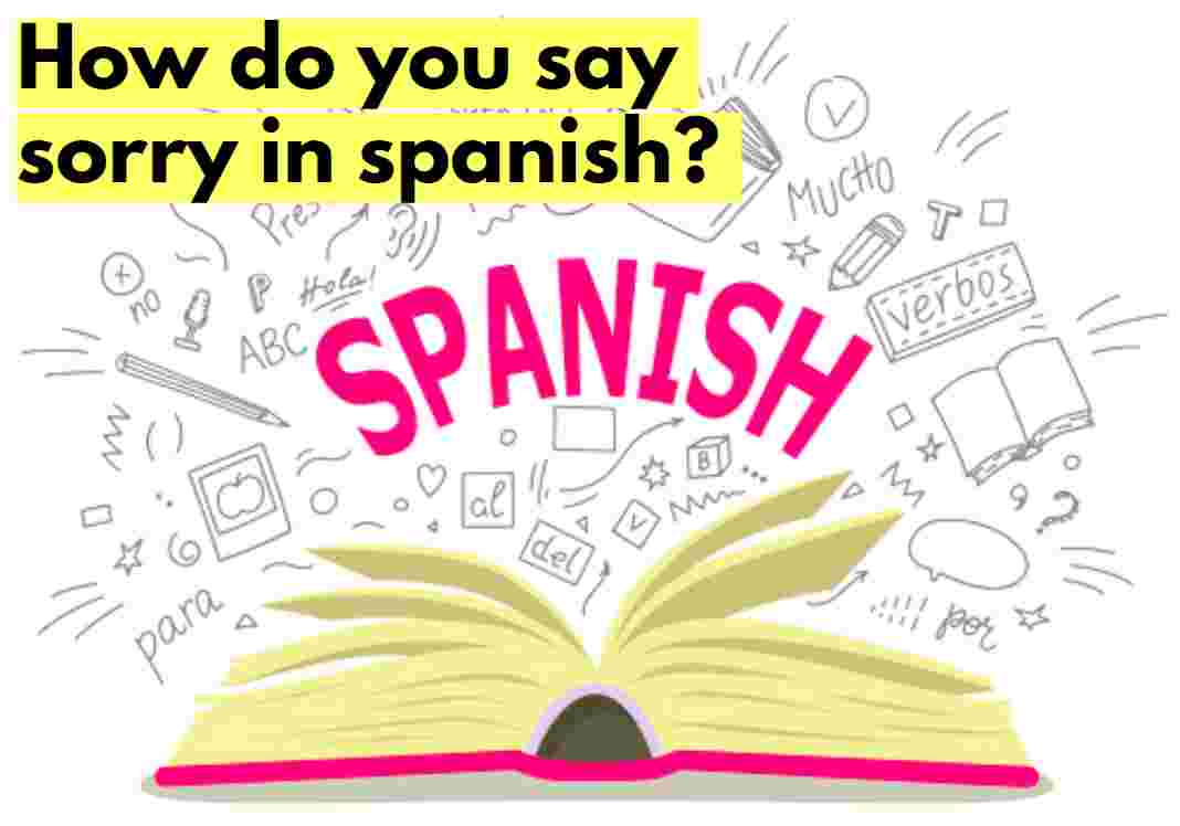 स्पैनिश भाषा में सॉरी कैसे बोलते हैं अगर आप जानना चाहते है तो आप सही जगह पर है। इस पोस्ट में हम आपको डिटेल्स में बताएँगे कि (how do you say sorry in spanish) स्पैनिश भाषा में सॉरी कैसे बोलते हैं।
