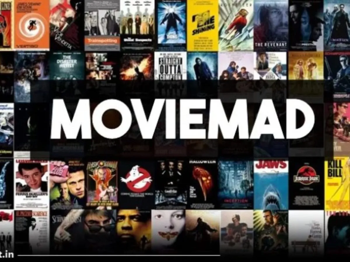 Moviemad: Bollywood, Hollywood, Panjabi, Tamil, South Indian Hindi Dubbed HD Movies