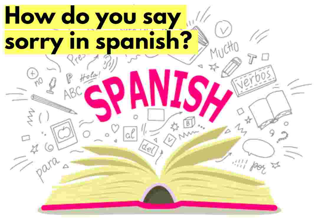 How do you say sorry in spanish | स्पैनिश भाषा में सॉरी कैसे बोलते हैं?